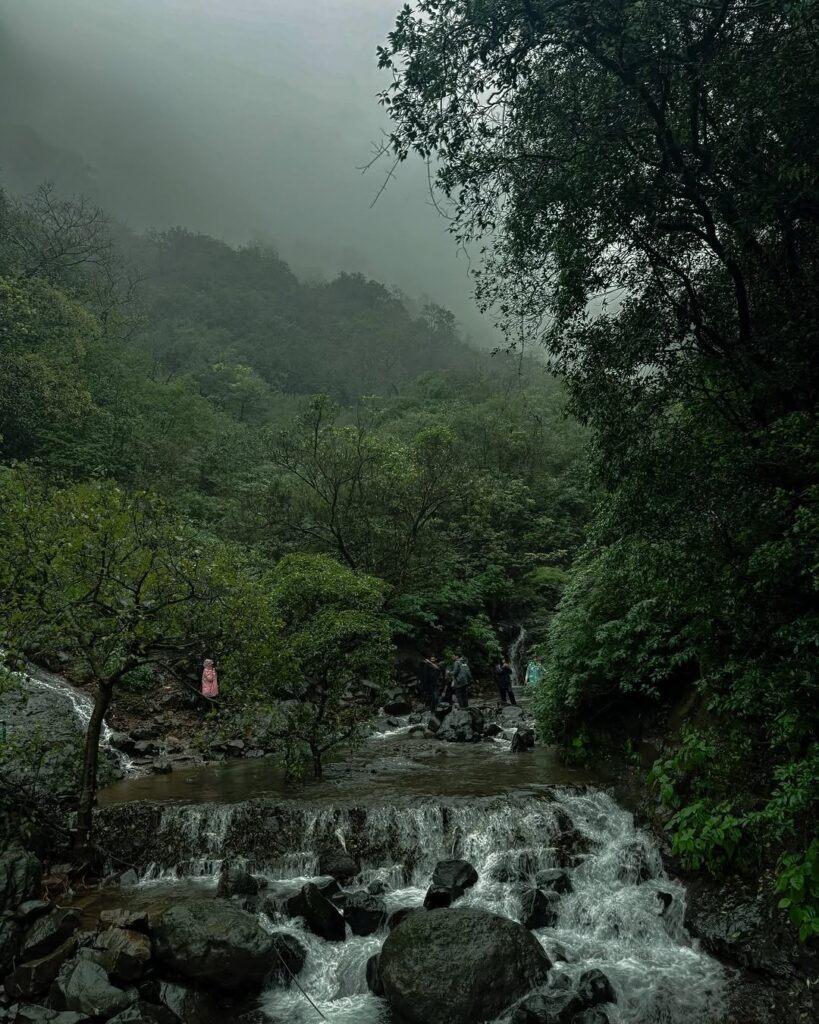 Andharban jungle trek